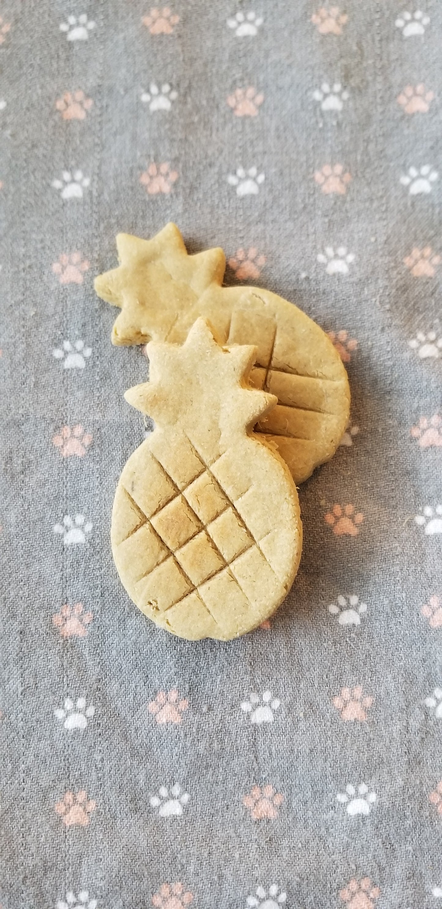Tropical Pineapple Coconut Dog Treats