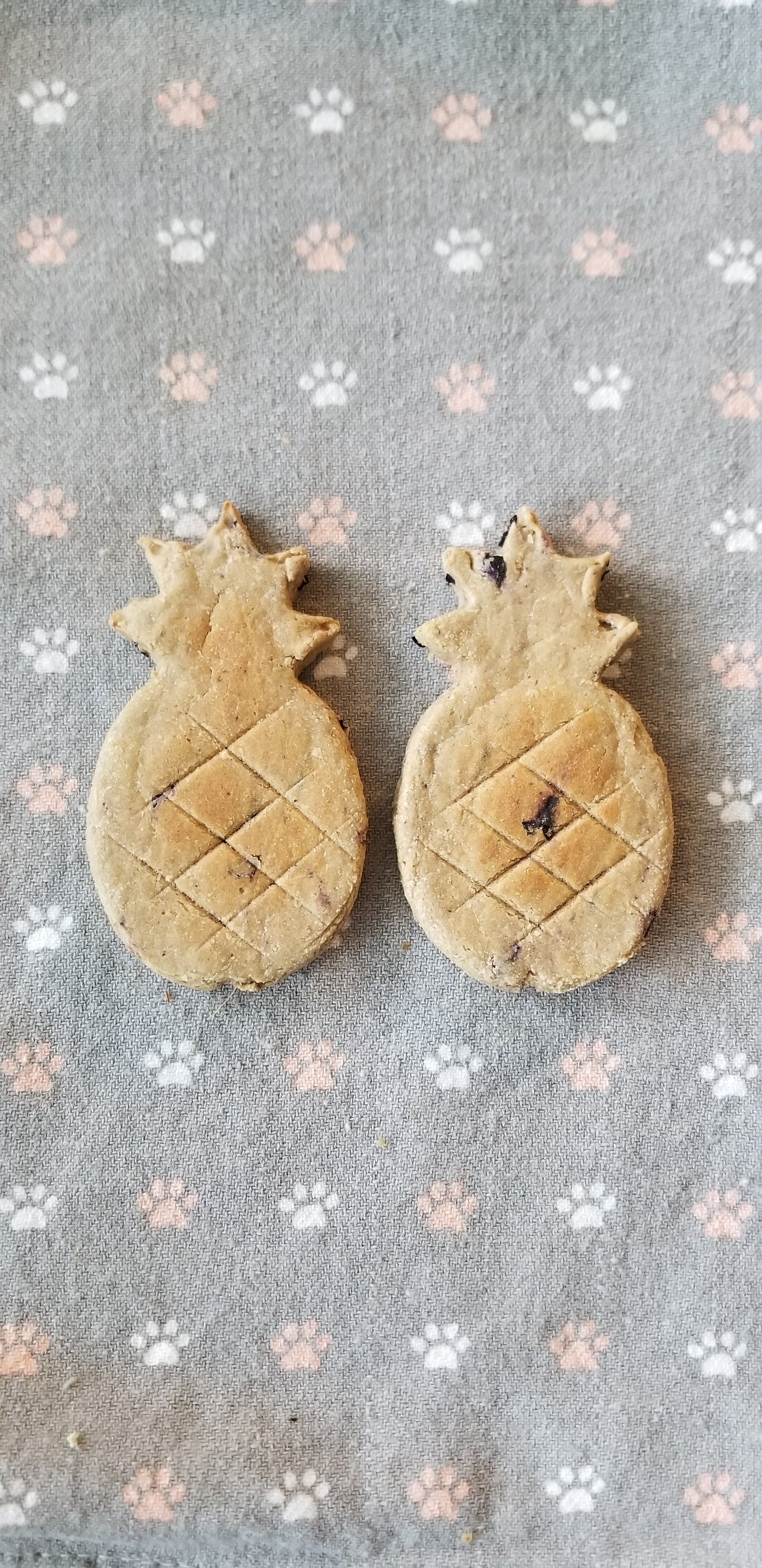 Blueberry Pineapple Treats