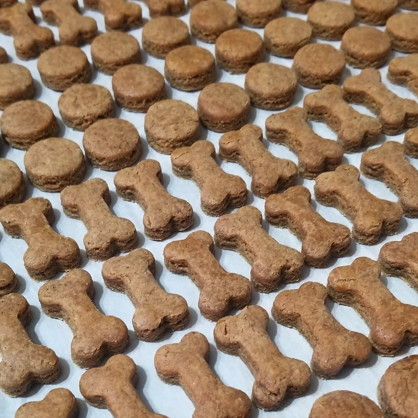 Peanut Butter Bites Medium Bag