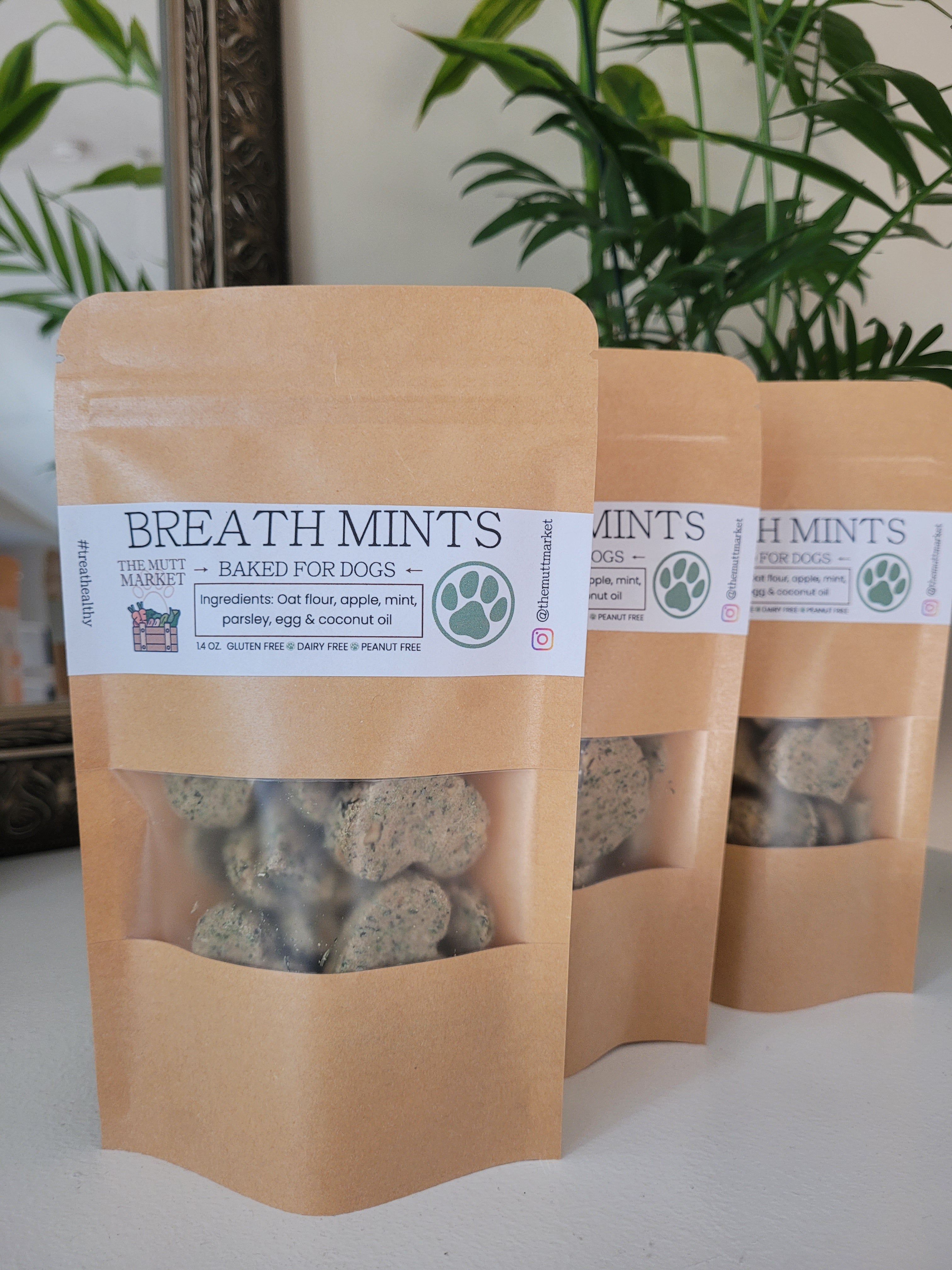 ヘッドロックスタジオ Meaty ミーティー Wild Meaty Mint Baked Doggie Breath Mints – The Mutt Market