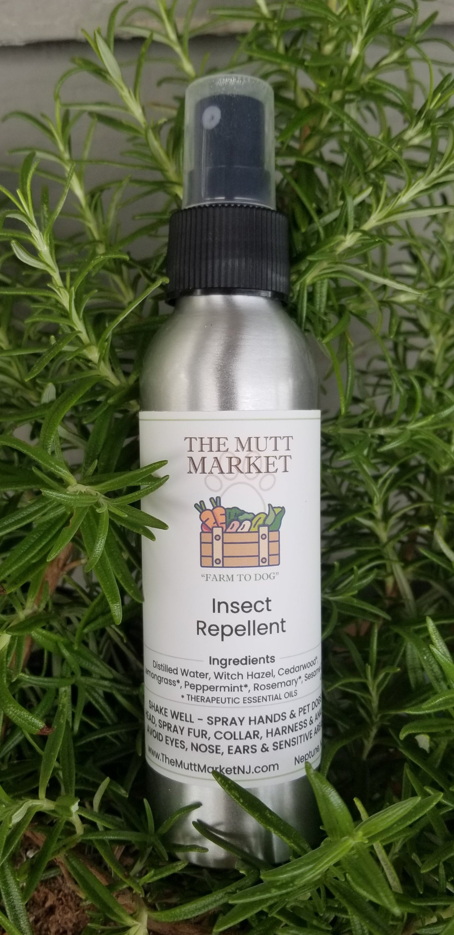Insect Repellent for your Dog